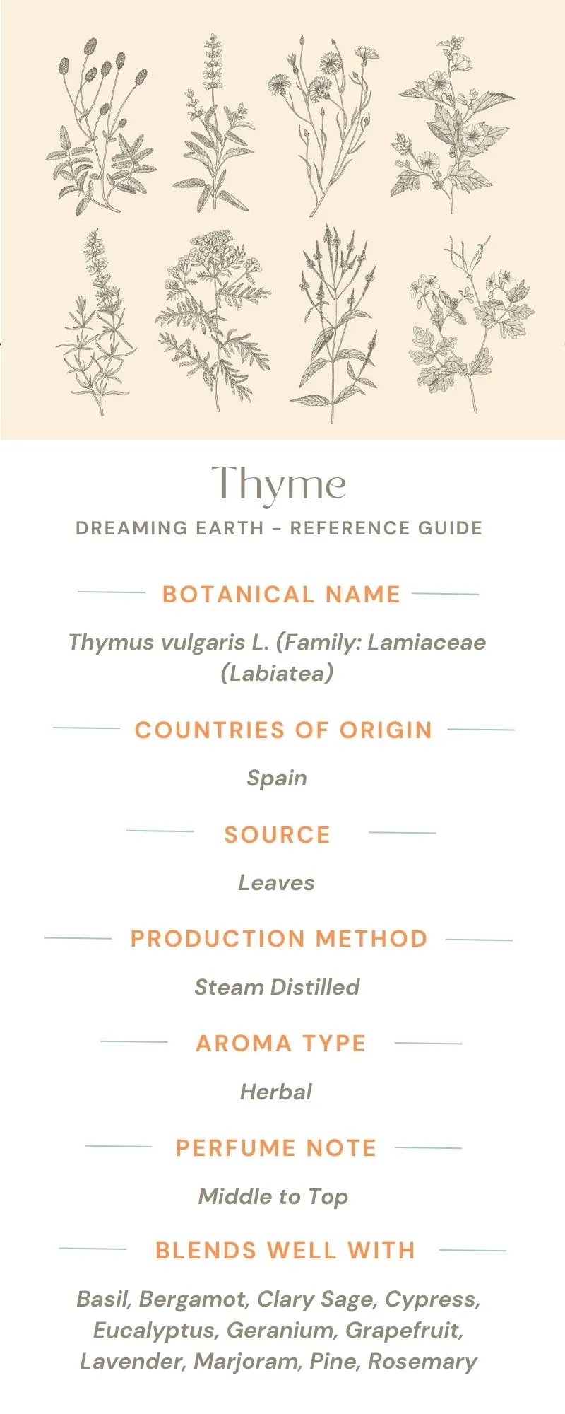 Thyme Organic Essential Oil