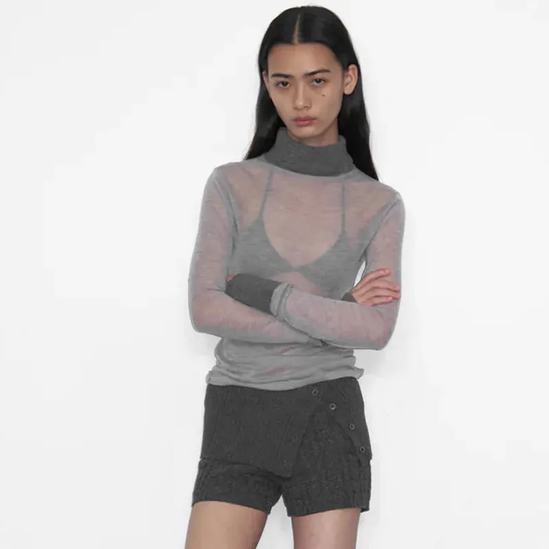 Turtleneck See Through Long Sleeve Top